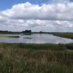 View around RSPB Freiston Shore Saltwater Lagoon