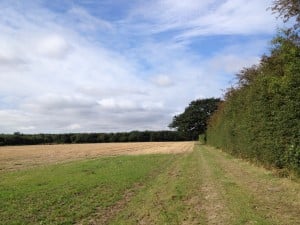 View over woods and fields towards our campsite